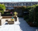 Strakke tuin 20150829_141416 Hovenier IJsselstein
