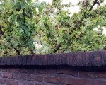 20150925_112218