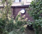 20150925_112411