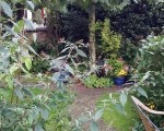 20150925_113208